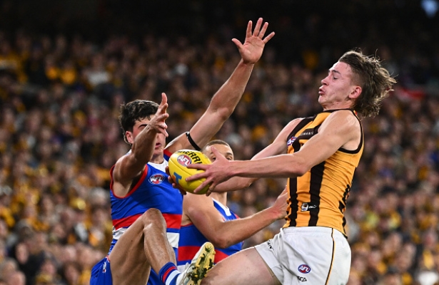 Fanfooty hotsell