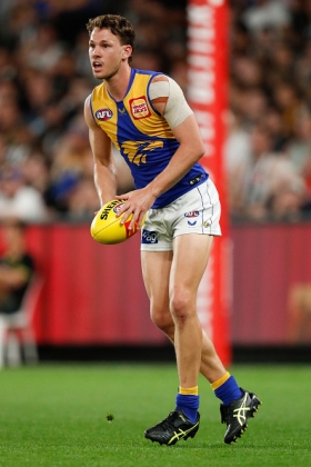 Jack Redden had what looked like being a long and successful career at Brisbane snuffed out by a combination of injury and... what, exactly? His breakout season was followed by two more where he lost his way, and he has missed out on the Lions' last two finals campaigns and now finds himself at West Coast. The Eagles needed a replacement for Lewis Jetta who also fell out of favour slightly mysteriously, so there are no guarantees that Witherden will be best 22 by season's end. His ceiling is so sky high that fantasy coaches have a close eye on him today.