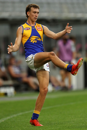 Brady Hough is one of a large number of lower league players dragooned by the West Coast Eagles to cover an all-time disaster of a start to 2022, partly caused by COVID but also an injury list to their established players as long as a Broome beach. Hough has been mouldering away on a lot of fantasy benches with infrequent appearances in the senior side. He is Just A Guy, as the saying goes, and one of the main reasons the Eagles have been belted every week is that you can't have more than a handful of JAGs. He might jag a good score today, but probably not.