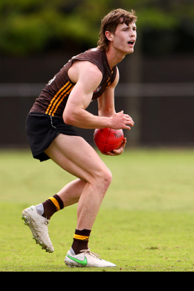 Ned Long was picked up in last year's rookie draft and has not exactly been beating down the door in the VFL, dealing with some minor injuries including a concussion. He is the prototypical tall inside midfielder, a body shape made popular in that role in the modern game by Joel Corey and which is becoming increasingly well represented. Not all prototypes become the finished product, though, and he is probably not ready for senior action. Round 23 is when club coaches destroy potential fantasy cash cows' prices for the next season, and Long may be one of those.