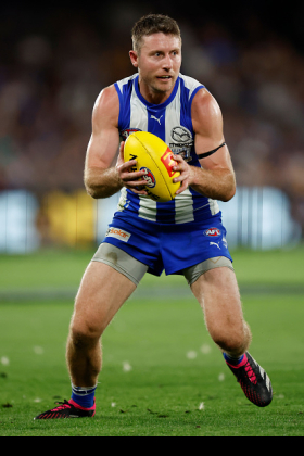 Liam Shiels and Hugh Greenwood return to the North Melbourne side after both were injured early in the Essendon game two weeks ago, which the team ended up losing by only a kick. They have been competitive in a number of games against decent sides, see also the Swans game which they also lost by a kick. Should North be bottoming out completely by playing all their kids like Hawthorn are doing - which draws some pointed criticism - or is the presence of old stagers necessary to bring on the green recruits in a safer environment? An eternal dilemma for list managers.