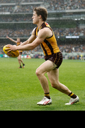 Josh Ward has fought his way back into the Hawthorn senior side after a mountain of possessions at VFL level. He was not particularly impressive in his debut season compared to the boom rookies, albeit he finished with a very useful average as a cash cow, but he hasn't gone on with it this year. Is it still too early for him to officially break out, or is this the time when he comes into something approaching his full powers as an AFL midfielder? If it's the latter, no one is going to own him in salary cap comps this week as his price is too tricky... though if he piles on a big ton, look out.