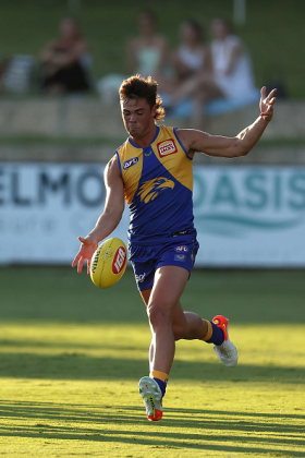 Campbell Chesser is one of a gaggle of high draft picks West Coast have accumulated during their list's seemingly interminable slide into putrescence. Like Elijah Hewett and Reuben Ginbey, he came to the club as a highly-rated junior but has not had a chance to blossom into the player he promised to be. Are the Eagles recruiting staff picking the wrong kids? Has the West Coast production line starting extruding duds instead of champions? Can Adam Simpson actually coach, or did he get lucky for that flag? Eagle fans and fantasy owners of players like Chesser are wondering.