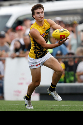 Steely Green looked like a million dollars in the 2024 preseason and was pencilled in on many fantasy benches as a potentially lucrative cash cow. Then the round zero teamsheets came in, and he wasn't on them. He didn't appear in the seniors until round 10 and was dropped after just two games, only earning a reprieve today long after the club entered play-the-kids mode. It's a tough road being a half forward flanker in a rebuilding side, but without Green in the seniors we have seen a lot of green shoots from Seth Campbell and Rhyan Mansell. He get another chance today.