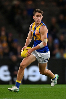Brady Hough was given a spot in the West Coast inside midfield last week in the desultory loss away to Hawthorn, and did not do much with it. Not every player is suited to taking their turn in the pivot, and while the Eagles have Liam Duggan they probably don't need another version of him. Their defence is arguably the least well stocked of their depleted list, and Hough is an honest and hard worker keeping the plates spinning while the midfield fails to pressure their opponents. Whatever solution there is to West Coast's problems, Hough to mids is not the solution.