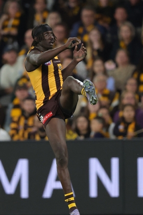 Mabior Chol had one of the least impressive finals series of anyone in 2024, visibly out of form at the end of a long campaign carrying a big forward and ruck load for Hawthorn due to injury elsewhere in the team's spine. 2025 has been a much brighter time for him, even though he has again had to shoulder more responsibility than he should with Mitch Lewis and Calsher Dear in the injury room. Like Hayden McLean and Harry McKay in similar roles, he is a confidence player who wears his heart on his sleeve, and can lift his real and fantasy teams to victory in the right mood.