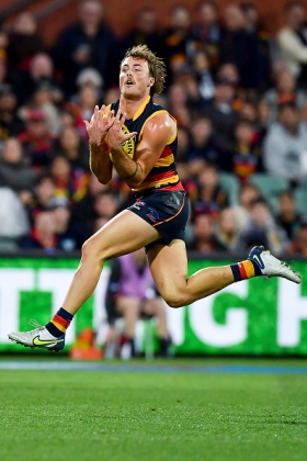Luke Pedlar has been a bit part player this season, but he bobbed up last week to just about be Adelaide's most effective forward. With Collingwood ceding the area 40m out from goal to concentrate their defensive efforts on the three genuine talls of Thilthorpe, Walker and Fogarty, Pedlar was the man free for targets and he managed to convert several opportunities. His role in the Crows team is just as important this week against the Hawks, whose backline was the star of their away win over the Giants last week. He needs to keep Jack Scrimshaw accountable.
