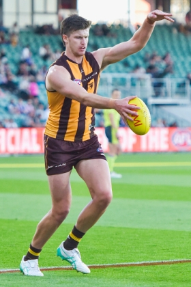 Mitch Lewis is arguably the most important structural player for Hawthorn as they try to return to top four considerations following last year's preliminary final loss. He hasn't had a full run at a season without injury for a long time, and has had to build his way into this campaign but provided essential contributions to the big win over Geelong. He is the sort of player who becomes invaluable late in games when you need a big bloke to at least halve contest to long dump kicks on rebounds, to provide crumbing opportunities. This is not a recipe for fantasy relevance, however.