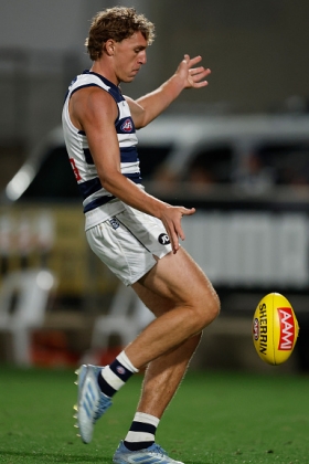 Jay Polkinghorne served a decent VFL apprenticeship before finally earning his spot in the senior Geelong team late this season, albeit only being picked due to a LTI to Jeremy Cameron. With Jezza on the sidelines until at least the start of next season, Polkinghorne has a window to prove his worth as a leading half forward. It is probably not the ageing but still starring Cameron he has to go past, as Oliver Henry has just been hanging onto his place this campaign. Polkinghorne's talents are more on the lead than Henry's preference for contests, so maybe they can all work together.