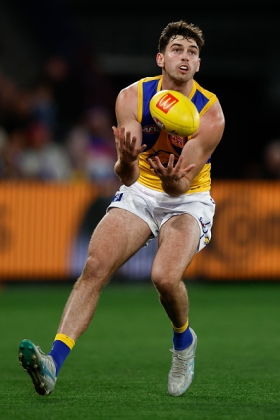 Rhett Bazzo began season 2026 in the WAFL as younger and higher-drafted Eagles started before him, but injuries to Reuben Ginbey and Harry Edwards brought his name back in front of the selectors. He began his most recent senior stint as second fiddle to Tylar Young, but it didn't take long for Andrew McQualter to realise that Bazzo was a better option to stand the opposition's best key forward. West Coast are on the up from a disastrous few years but it's still not much fun playing defence for them at times with the ball whizzing in frequently. He still has upside.
